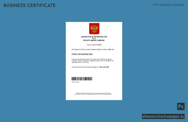 Russische Gewerbeanmeldung – Beispielvorschau (Word und PDF)